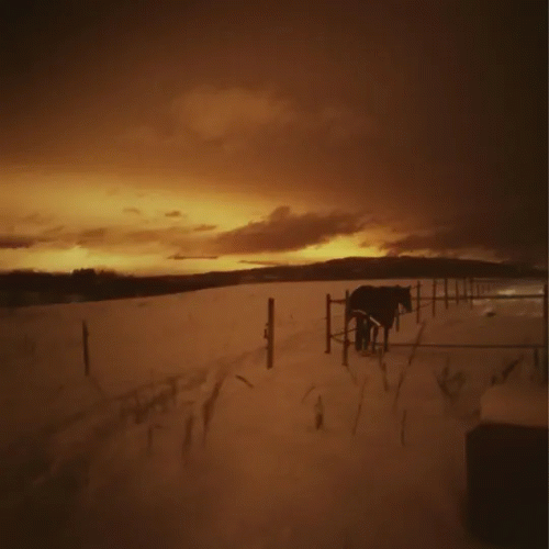 Avertia : He Who Hunts for Screams, Pt. 1 to, Pt. 4